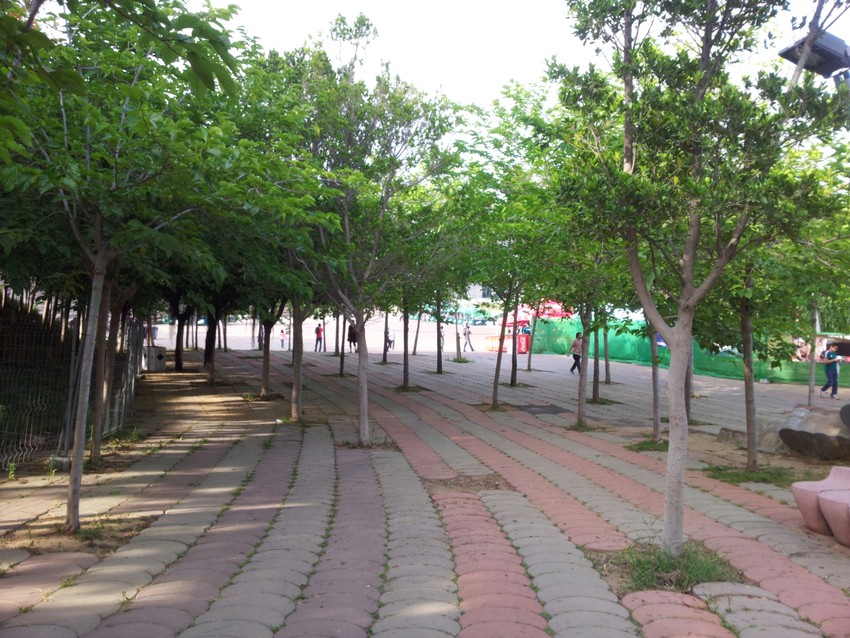 Die einzelnen Bühnen des Festivals und die dazugehörigen Vorplätze werden mit sich in die Landschaft schmiegenden Wegen verbunden, die kreuz und quer durch das Gelände des Parc del Forum mäandern.